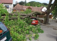Kwikfynd Tree Cutting Services
augusta
